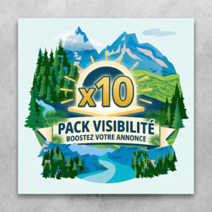 Pack : Visibilité Premium (Pour les Établissements)